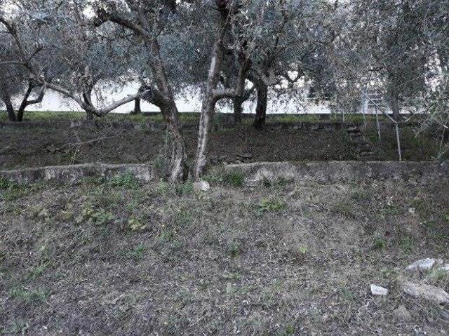 Terreno in vendita a Prato, Tavola