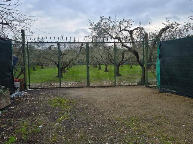 Terreno in vendita a Prato, San Giusto
