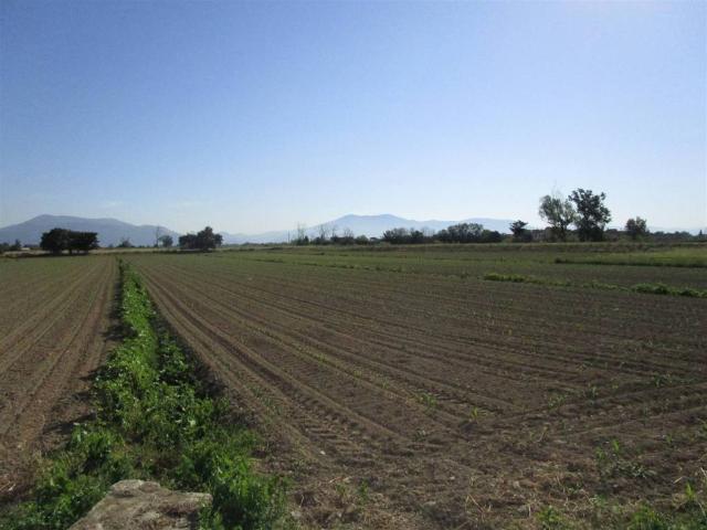 Terreno in vendita a Fontanelle, Prato
