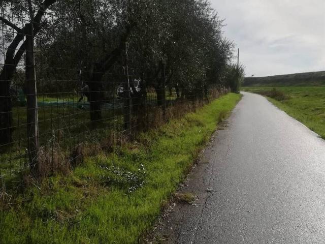Terreno in vendita a Prato, Toscana