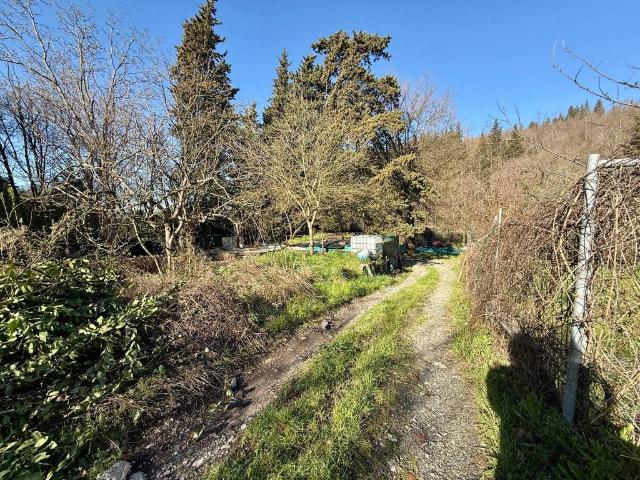 Terreno in vendita a Santa Gonda, Prato