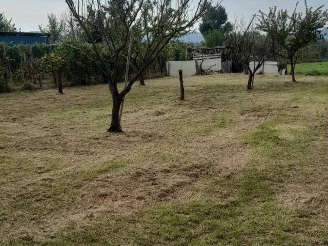 Terreno in vendita a Prato, Toscana