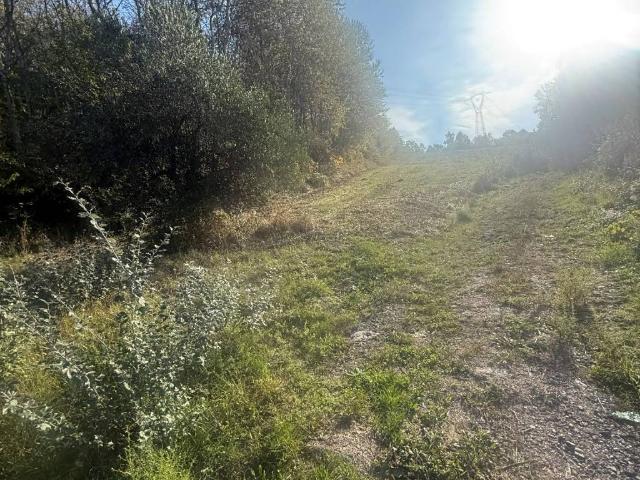 Terreno in vendita a Pratola Serra, Campania