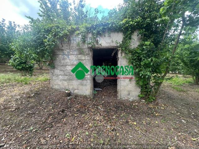 Terreno in vendita a Pratola Serra, Campania