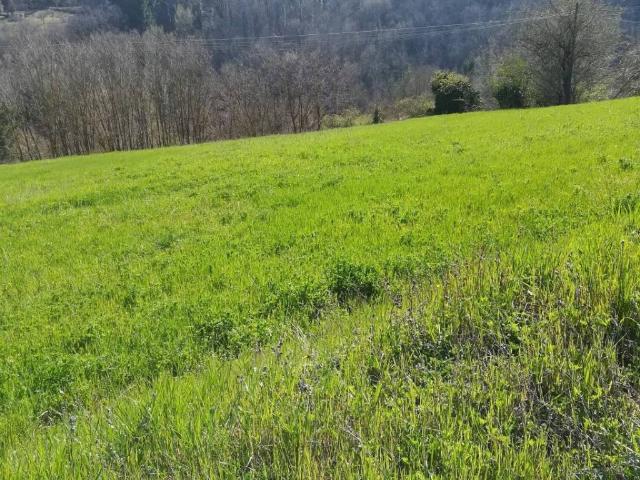Terreno in vendita a Pratovecchio Stia, Stia
