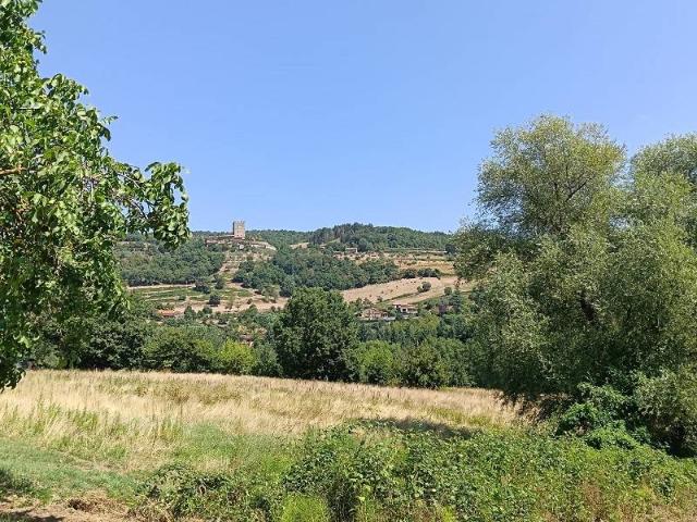 Terreno in vendita a Ricessa, Stia