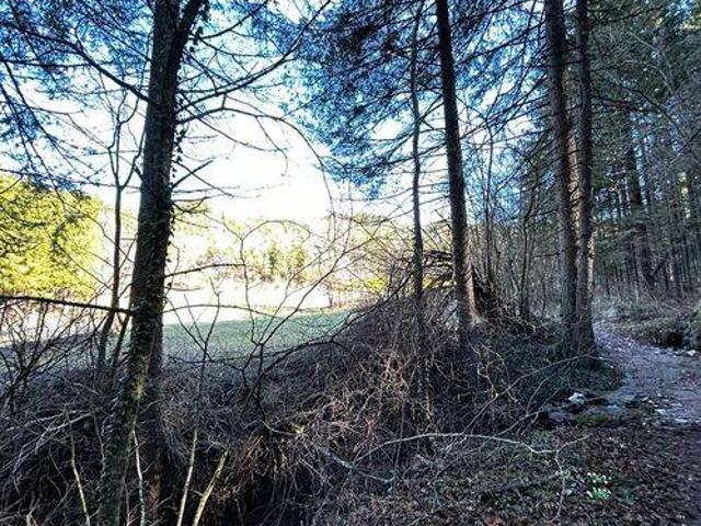 Terreno in vendita a Comunità della Val di Non, Tres