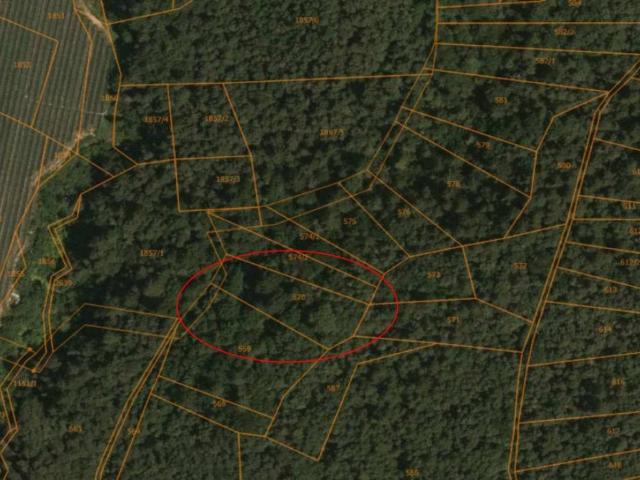 Terreno in vendita a Comunità della Val di Non, Vervò
