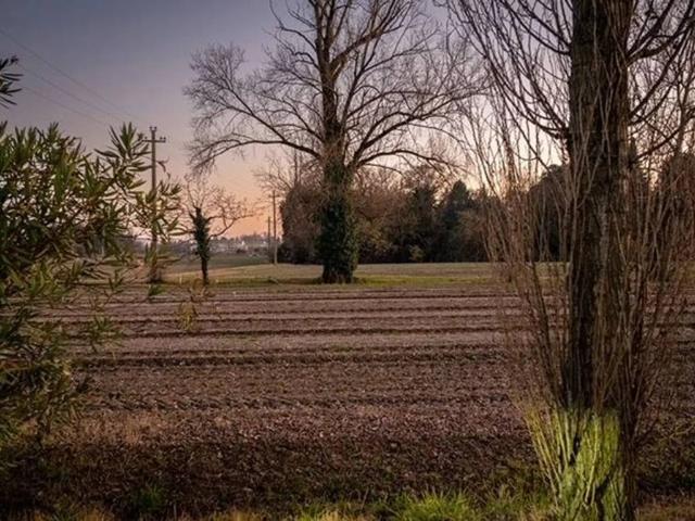 Terreno in vendita a Preganziol, Veneto