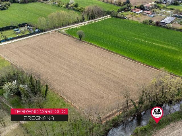 Terreno in vendita a Pregnana Milanese, Lombardia