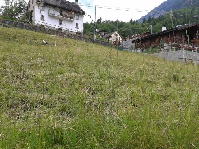 Terreno in vendita a Piemonte, Verbano-cusio-ossola