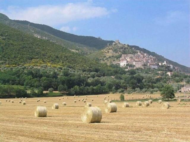 Terreno in vendita a Presenzano, Campania