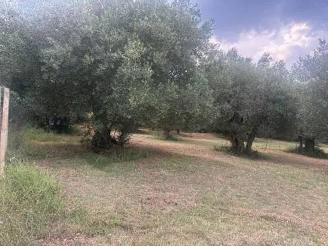 Terreno in vendita a Presenzano, Campania
