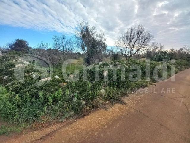 Terreno in vendita a Presicce, Puglia