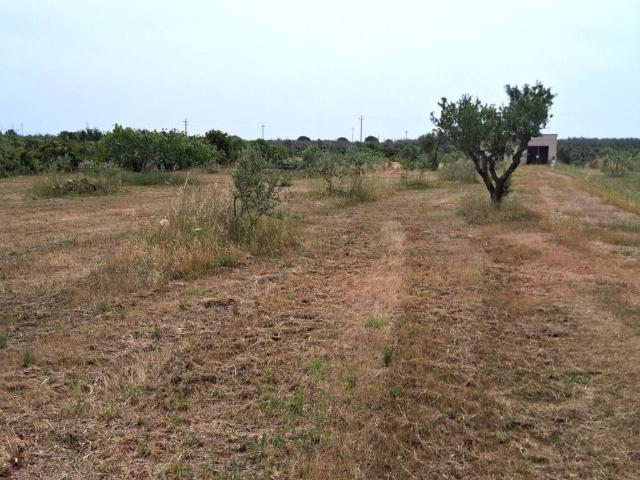 Terreno in vendita a Puglia, Lecce