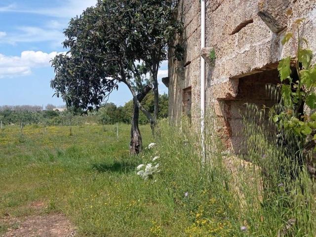 Terreno in vendita a Puglia, Lecce