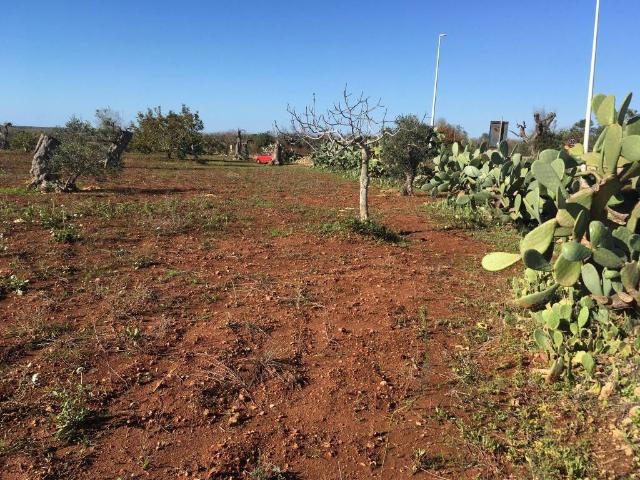 Terreno in vendita a Puglia, Lecce
