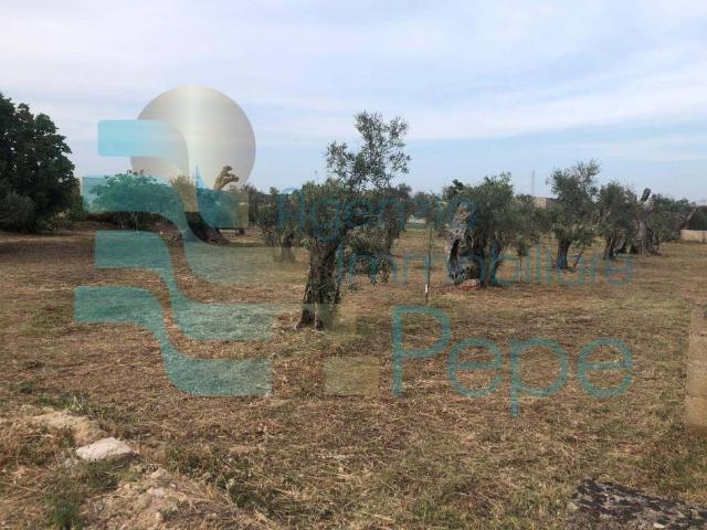 Terreno in vendita a Presicce, Puglia