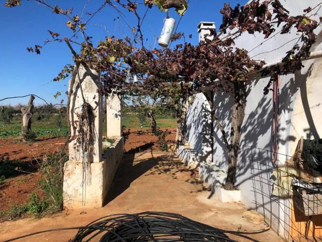 Terreno in vendita a Puglia, Lecce
