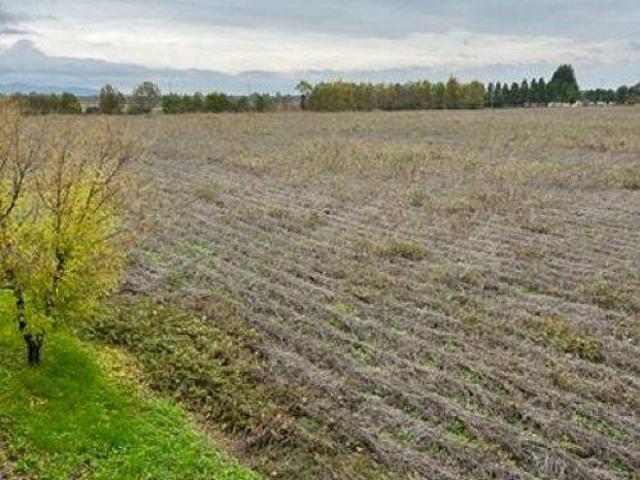 Terreno in vendita a Pressana, Veneto