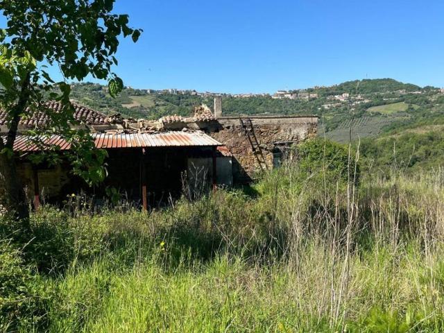 Terreno in vendita a Prignano Cilento, Campania