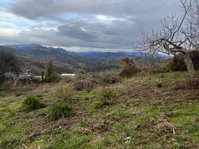 Terreno in vendita a Prignano Cilento, Campania