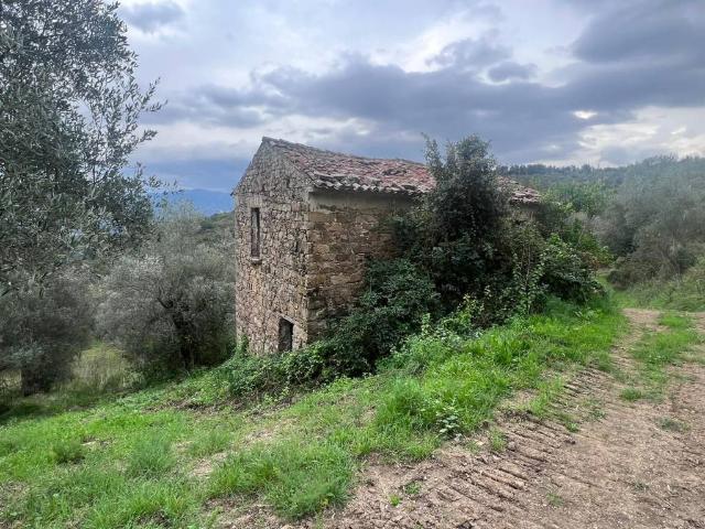 Terreno in vendita a Prignano Cilento, Campania
