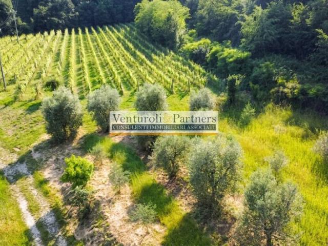 Terreno in vendita a Castello, Puegnago