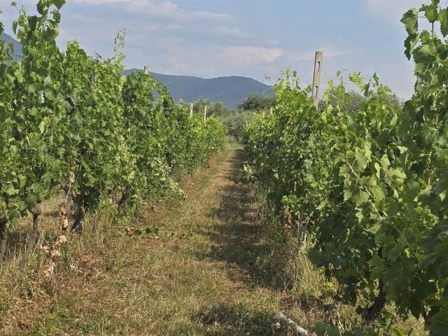 Terreno in vendita a Puegnago, Lombardia
