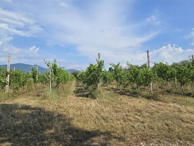 Terreno in vendita a Puegnago, Lombardia