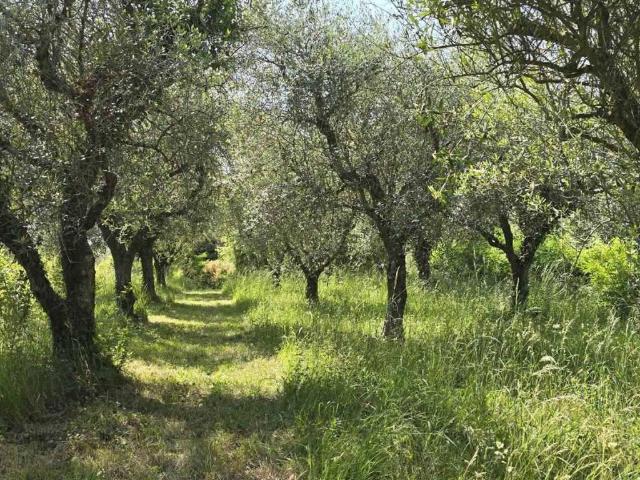 Terreno in vendita a Castello, Puegnago