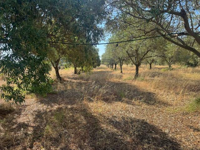 Terreno in vendita a Pula, Casteddu/Cagliari