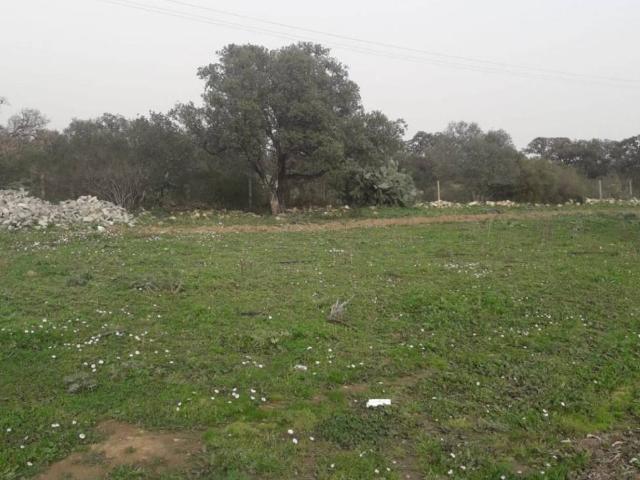 Terreno in vendita a Pula, Sardigna/Sardegna