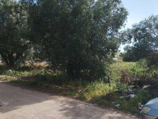 Terreno in vendita a Puglia, Taranto