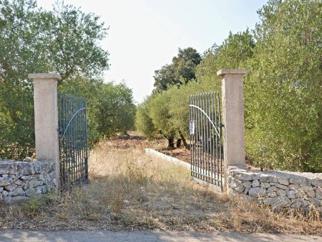 Terreno in vendita a Puglia, Bari