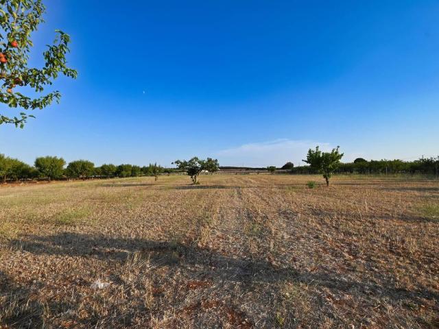 Terreno in vendita a Puglia, Bari