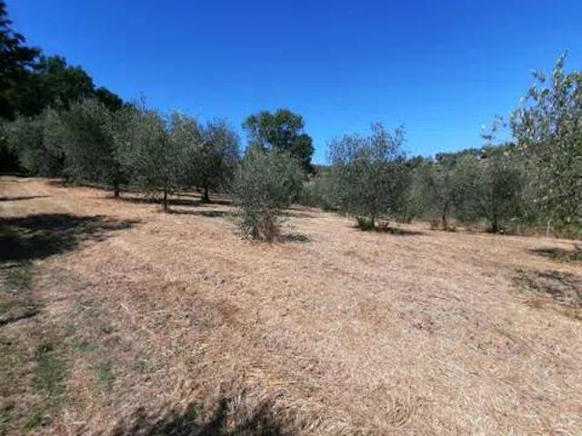 Terreno in vendita a Quarrata, Toscana