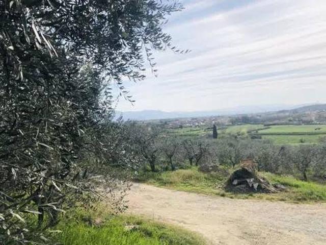 Terreno in vendita a Quarrata, Toscana