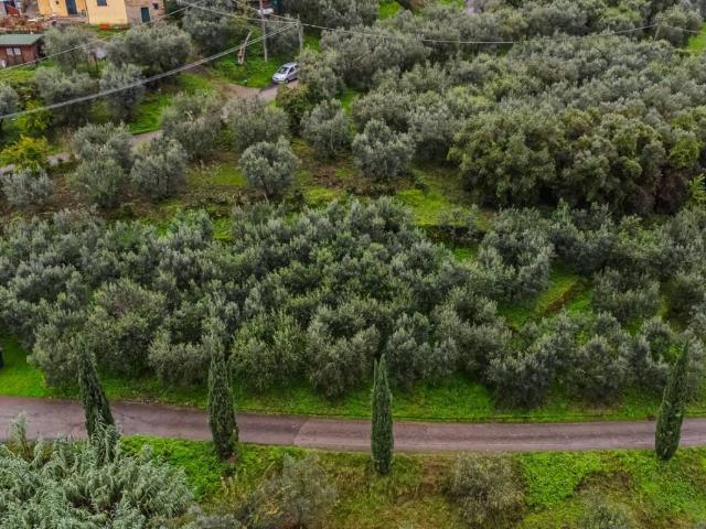 Terreno in vendita a Lucciano, Quarrata