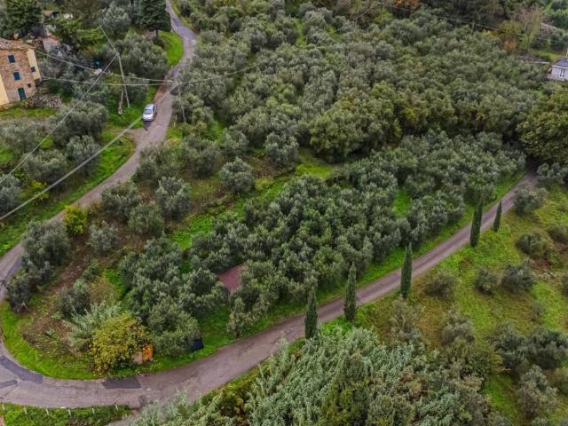 Terreno in vendita a Lucciano, Quarrata