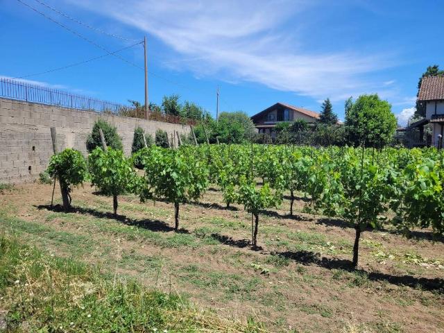 Terreno in vendita a Pantaleo, Quarto