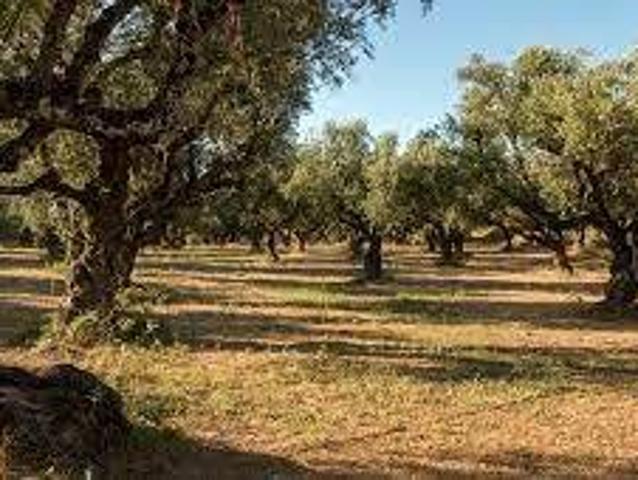 Terreno in vendita a Cepola, Quartu Sant'elena