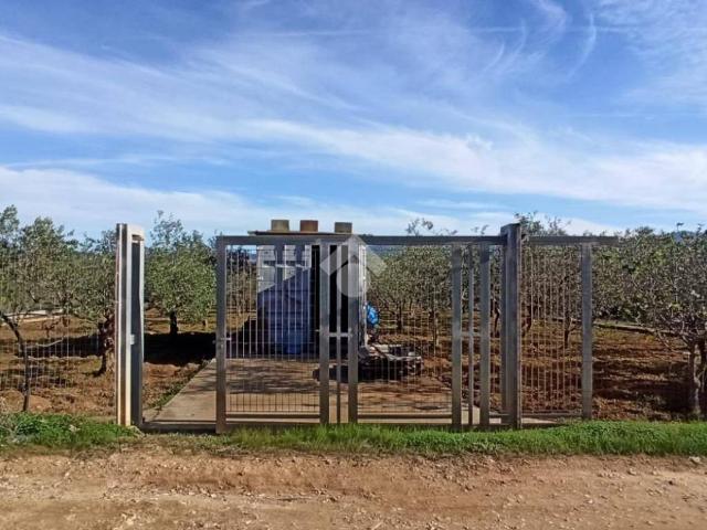 Terreno in vendita a Quartu Sant'elena, Sardigna/Sardegna