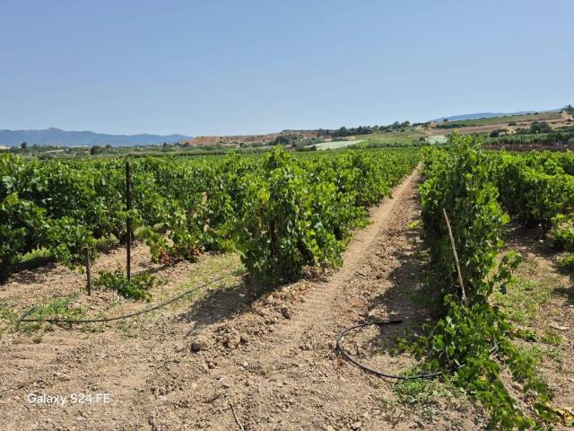 Terreno in vendita a Quartu Sant'elena, Sardigna/Sardegna