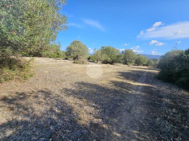 Terreno in vendita a Quartucciu, Sardigna/Sardegna