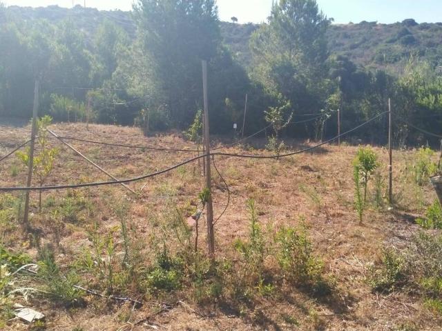 Terreno in vendita a Quartucciu, Sardigna/Sardegna