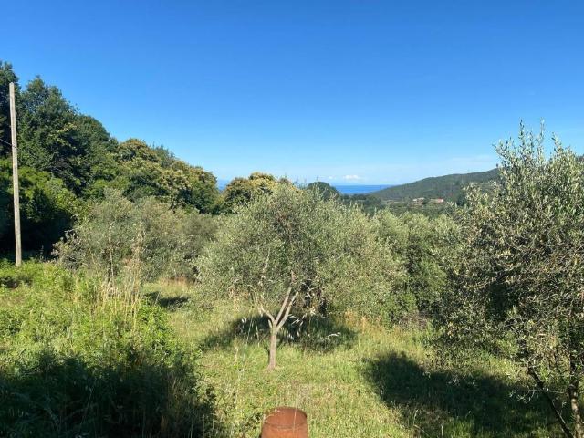 Terreno in vendita a Quiliano, Liguria