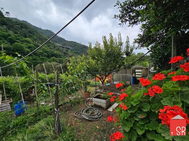 Terreno in vendita a Quiliano, Liguria