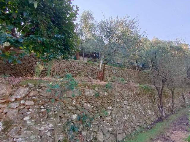 Terreno in vendita a Viarzo, Quiliano