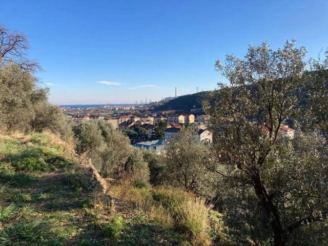 Terreno in vendita a Quiliano, Liguria
